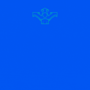ICONOS MATERIAS LANDINGS EEFFL (14)